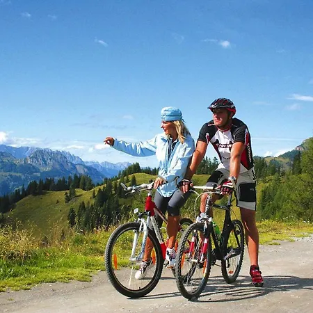 Alpenstern Osb02079 Dyb *